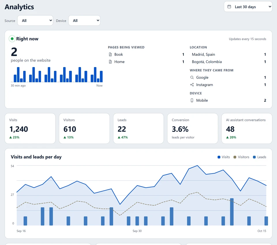 Analytics: people on the website right now, visits, leads, conversion and a daily chart (sample data).